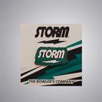 CARDED LAPEL PIN STORM